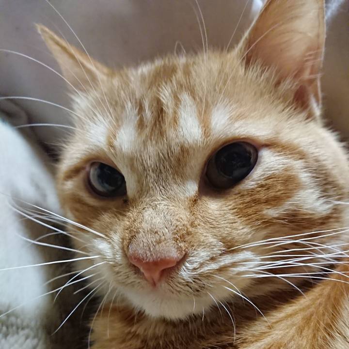 0015401b 7dac 4e83 ab03 f114e721eaad 1640868279696