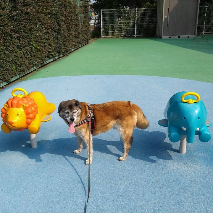 001547ce 7adf 4e28 aa39 ac300d96ed99 1564620119868