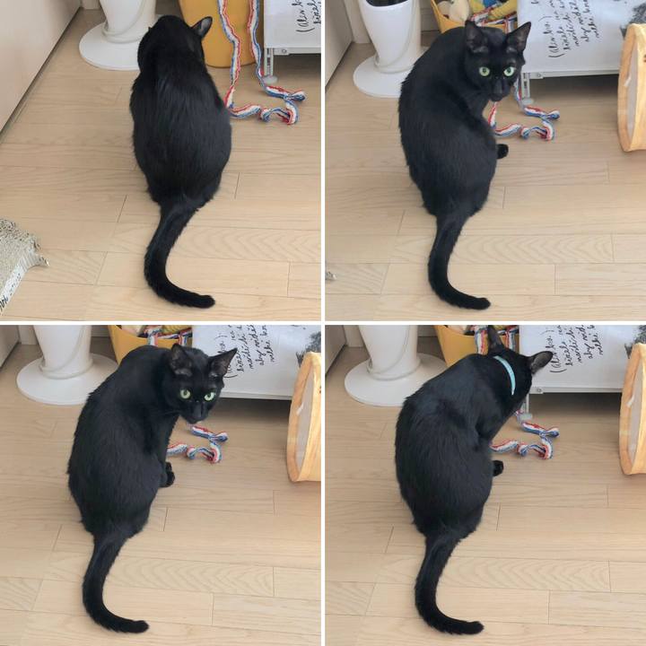 00154b68 d111 4635 b142 e34f87b21bcf 1565781983424