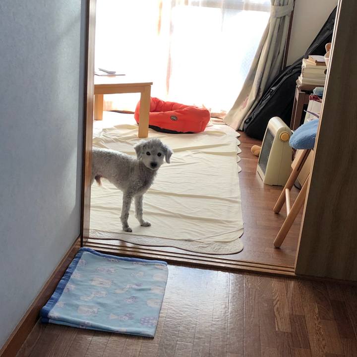 00154f5e e4af 469b 9666 ffe96f23764d 1590754036034