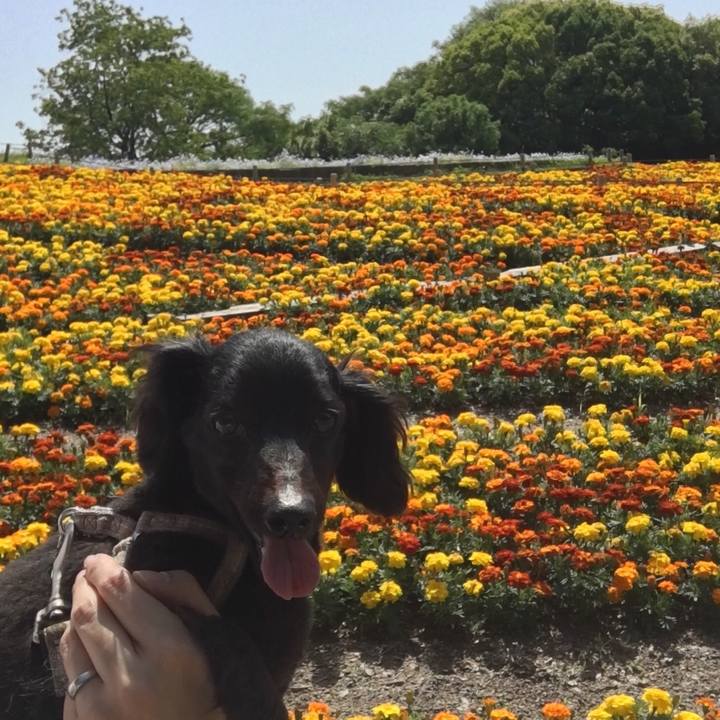 00155617 3aa0 46d3 8647 cc229db7597f 1526351079523