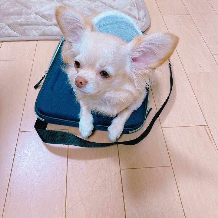 00155aac dd07 48a3 984a d0c376ca60ab 1637116171145