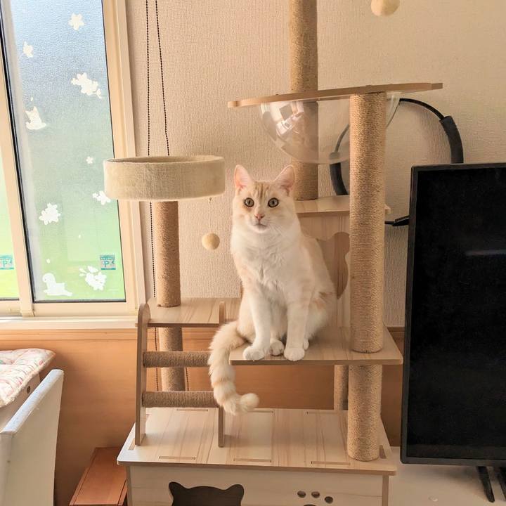 00156346 eb61 4b6e 84e3 270a2d3fb8ab 1690931121271