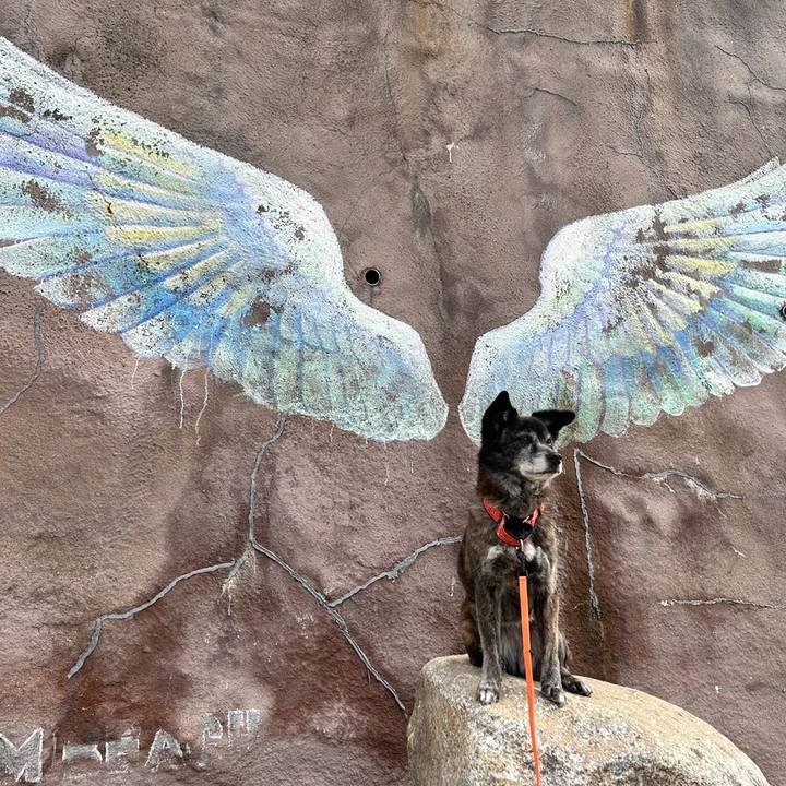 0015712f 53d2 4c89 84ec 8dcca89346f6 1677210053970