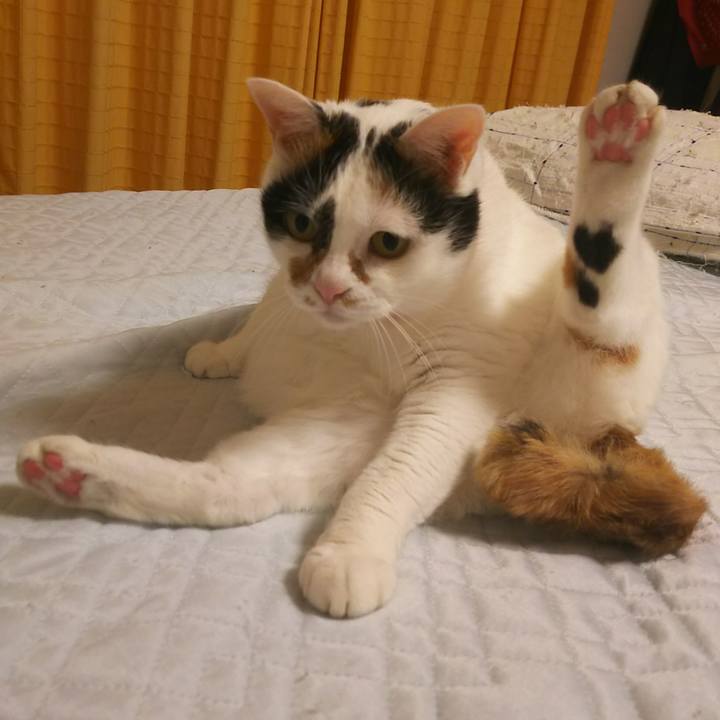 0015e8b9 8f2d 42c7 a844 4bb2d8bc49b7 1532703651938