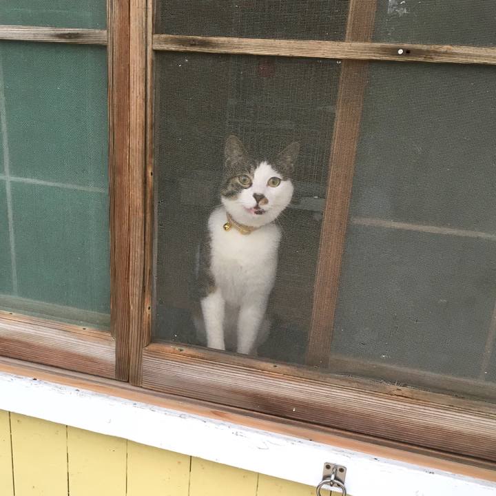 0016633f fe13 404a aa7f 2ebcc44e4a08 1529741593872