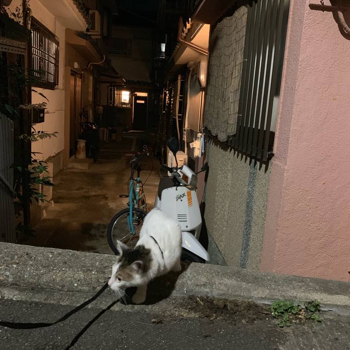 00167864 535f 46f6 905b 54d8f10bbebf 1568684184655