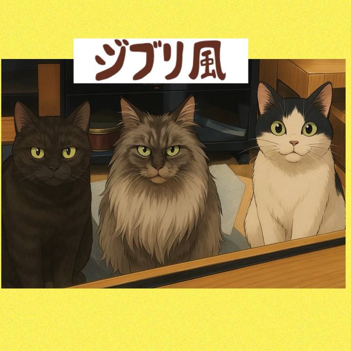 00169aa4 c9f2 48f6 8b78 940333da9c25 1743815767907