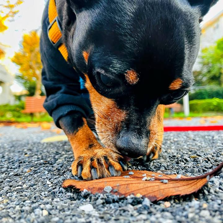 0016be40 67e0 4919 90c2 f9c30a7039ad 1730604654785