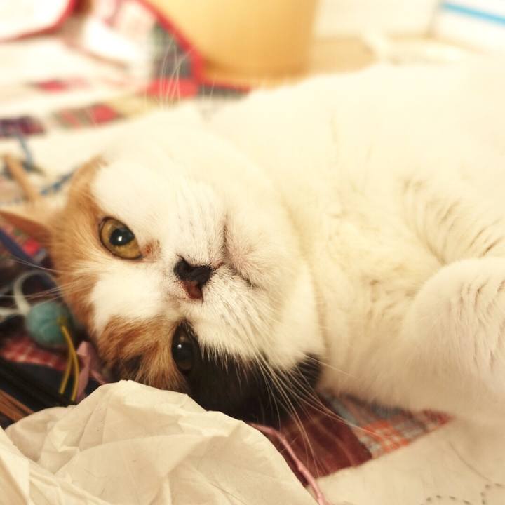 00170341 bb24 4eea a39a eb3c835a322e 1559829582265