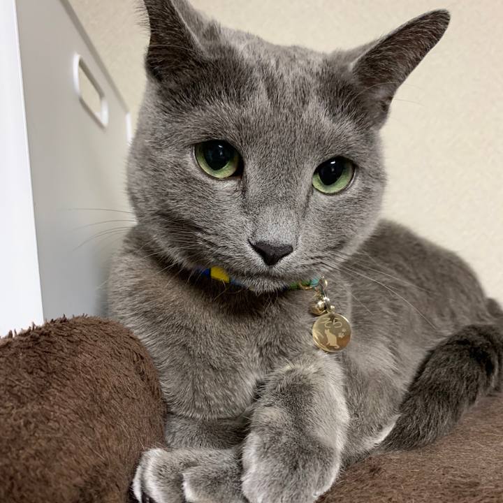 00170bfe ce78 4a22 b9e2 572cd4d48f05 1643443154190