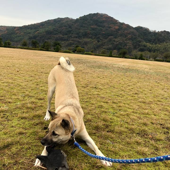 00171c70 37a8 42a2 9611 1106d3156a0e 1545536144726