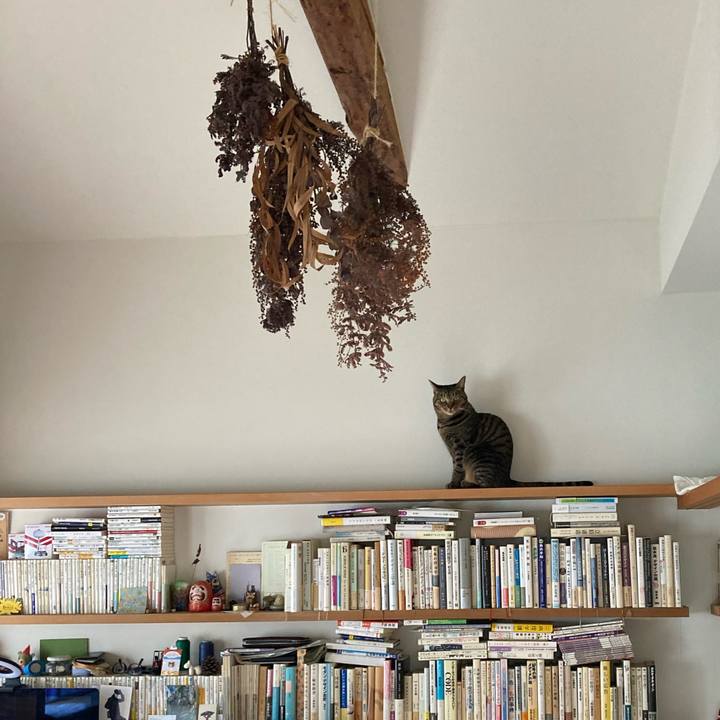 001749be f0eb 4877 ac1d 348d3d063f5a 1740787231677