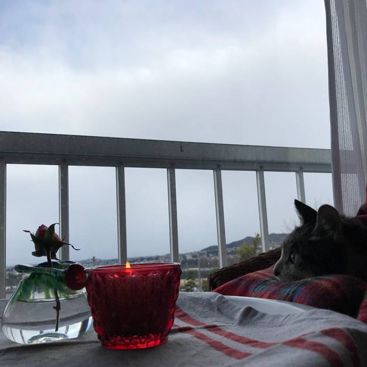 00176fbf 3740 4add 9ae6 a92c62584fe5 1511496731853