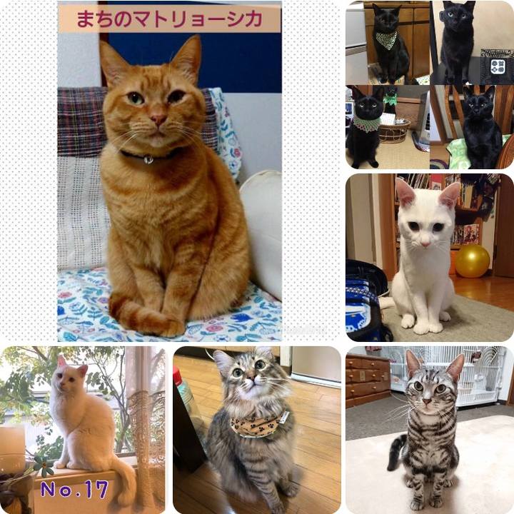 0017a59f 7485 4f79 aeb2 352716820f9e 1526383823772