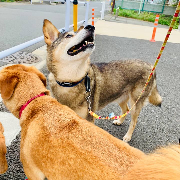 0017f777 7726 466f 95c2 5651b798cde1 1564924742029