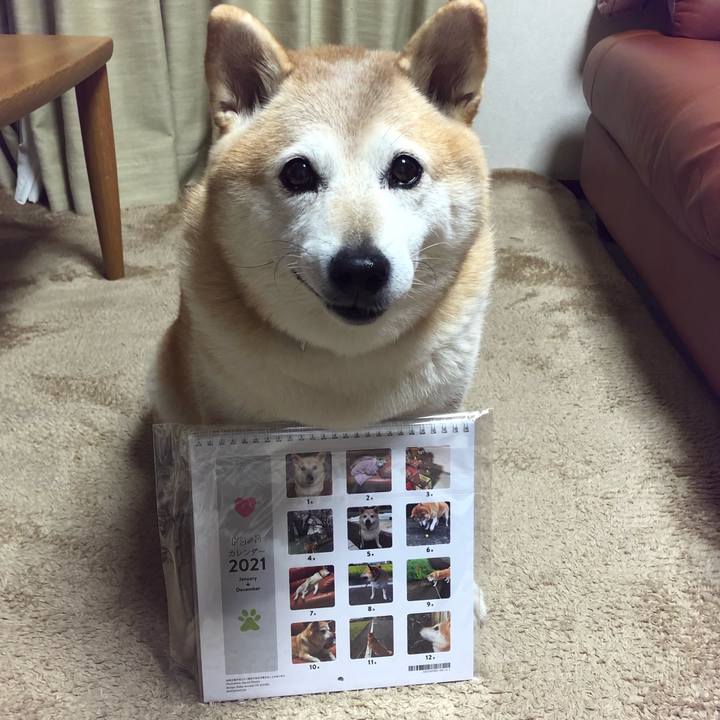 00183ca1 f1ce 4cb7 87af 2ba401ab7426 1605782420053