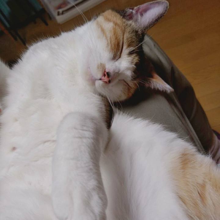 00184059 e0a3 406e a703 71f8961bbadb 1571313858007