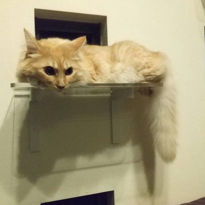 0018bcc2 b408 4223 bf0b 6884545ec3bb 1631713088065