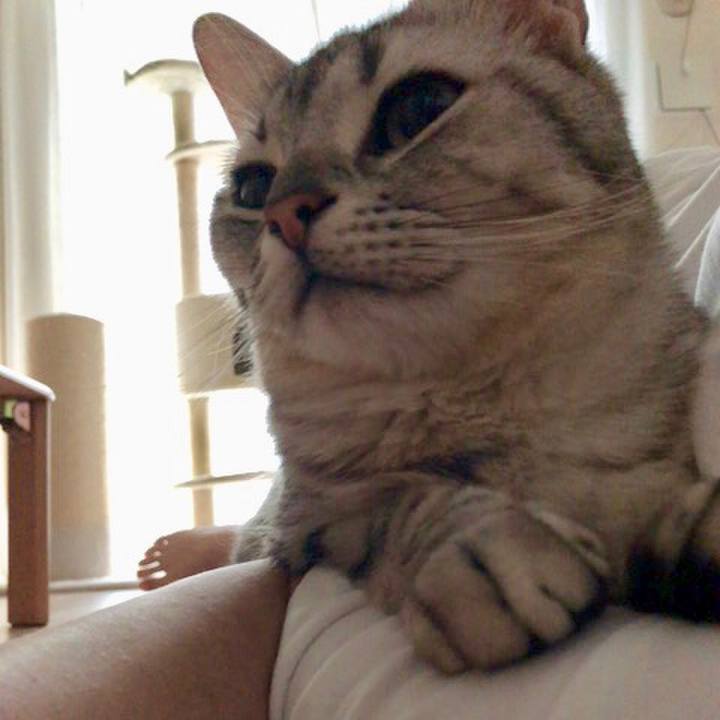 0018c6b4 4614 4873 88d8 5c0698088f76 1526725827302