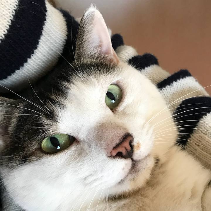 0018d16f 8d74 4ae0 959a 74a3fa866dc0 1513387058206