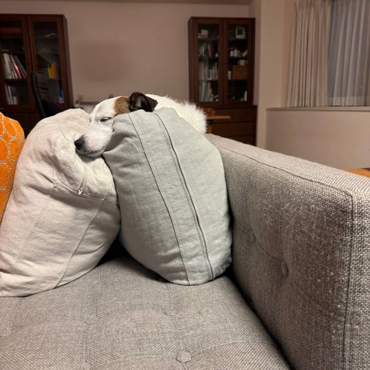 00190ac3 b42e 44c5 a2f1 f4a32d4e8ed4 1774319128496