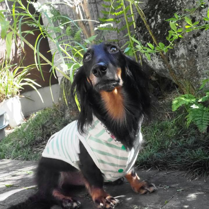 00191990 f53c 46f4 a424 50f0787af173 1538458450562