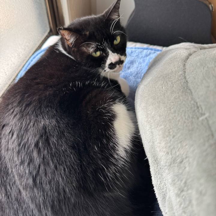 0019378e c57c 412d ae98 3195ba8770e3 1768955552671