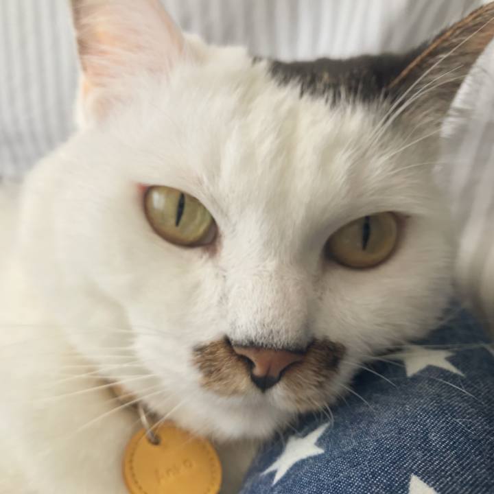 00193cf2 3f6c 49c9 a7da 6ab1dc579453 1534919285561