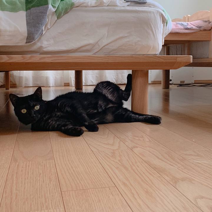 0019415b 3ac5 4e51 bdee 38de55ff3c98 1562490188085