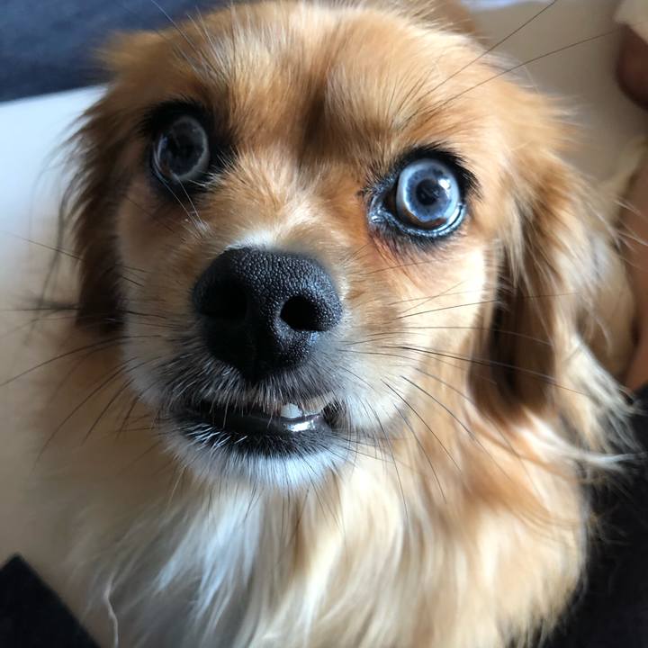 00195b64 42d4 42e9 8731 f5d6d9dc99cd 1566168646597