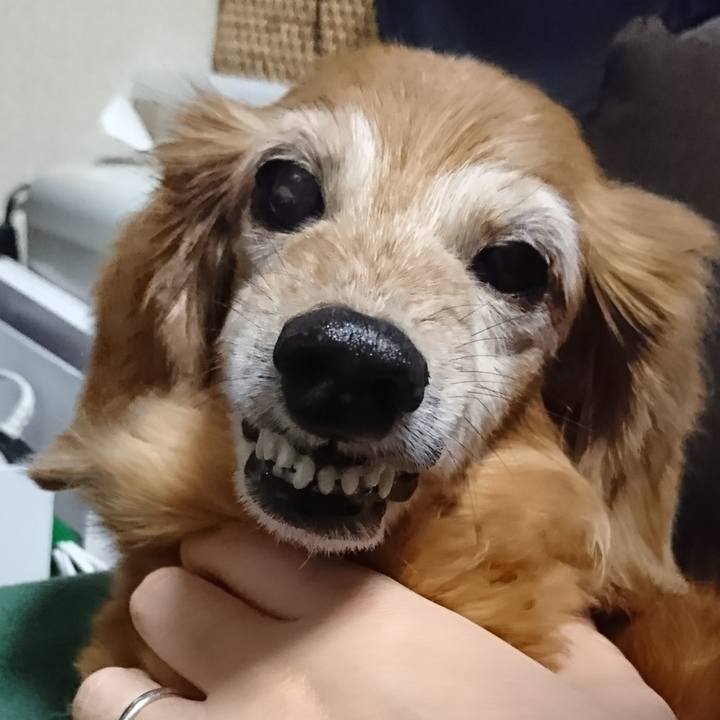 00196ca0 3eb5 4f96 bfe3 85c2d8c50ecb 1511101670288