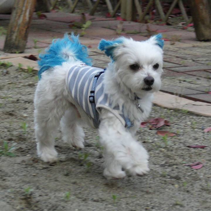 0019a0ca b059 4a38 bbd9 81a1ab1c5461 1528994385225