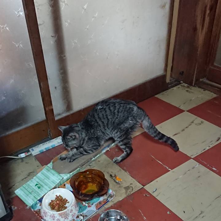 0019ab21 715c 4262 9316 5591eb2403d4 1580531058620