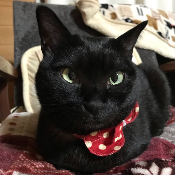 0019fa2f b54a 469f 9d4d b3666ae350c6 1551705317104