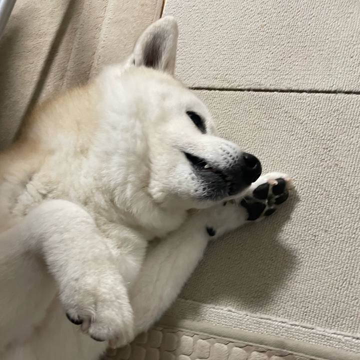 001a5416 468f 4777 9bf4 9f9279665b85 1706734586641