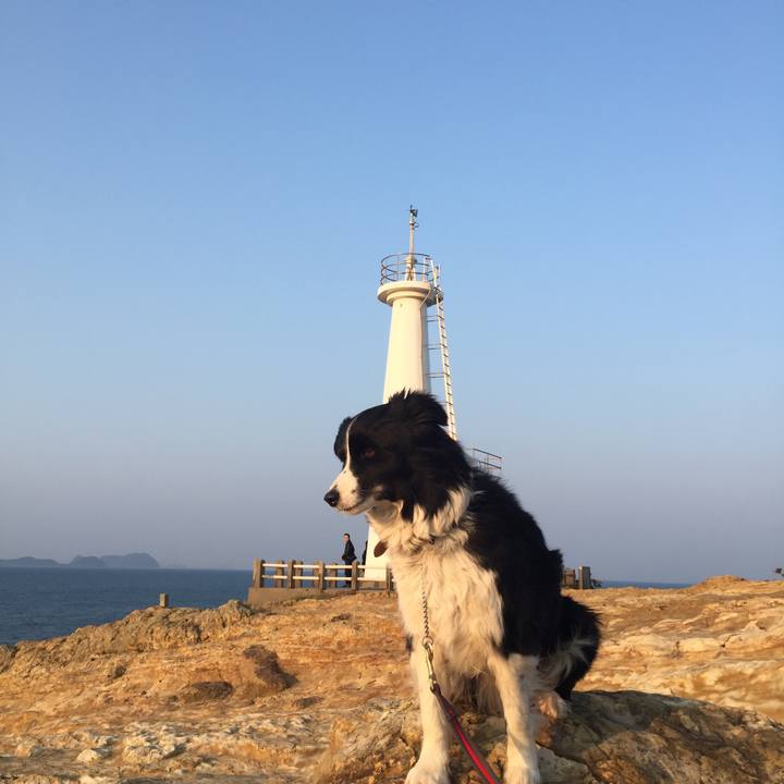 001aaf53 3530 4d97 bbdd cb684a80429a 1521881583992