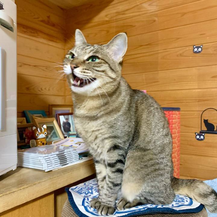 001ac377 4c5d 41fc b0d0 cd577853c8c8 1617977300562