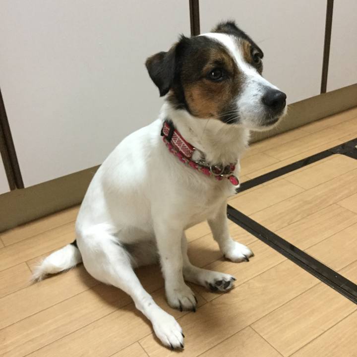 001accab 4f84 4de2 92ad 5c7ed5c5d779 1524174396949