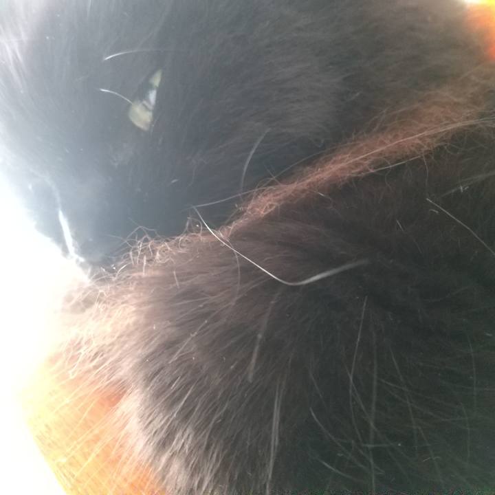 001accef 0aa3 4b74 9d12 35953d432408 1626413380088