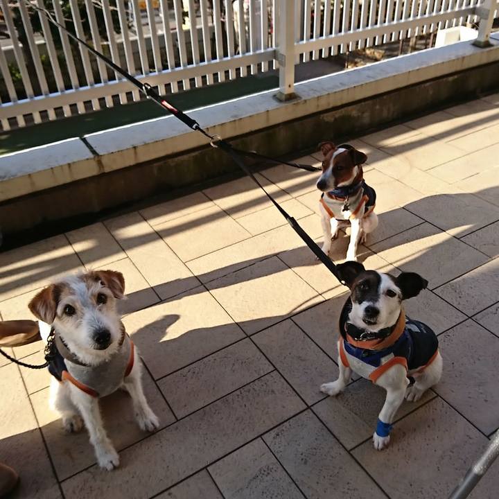 001aff6c 0974 4f43 b781 08934c4338da 1545892624147