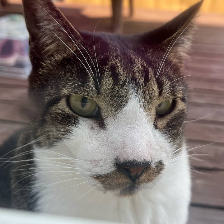 001b007b 7c7c 4973 9d0a 0d31f2f301d0 1748667323769