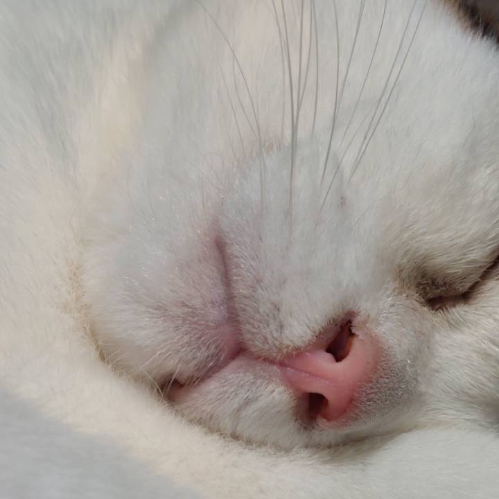 001b2c91 eb54 4096 8386 9e8d63edd073 1724889391235