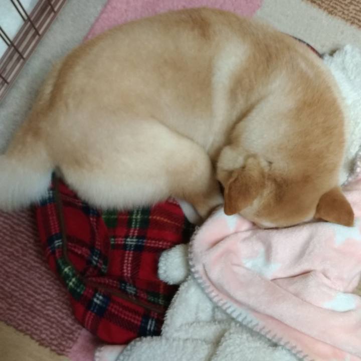 001b5225 d996 4ac2 85cf c2a7cbc13d1b 1551444456084