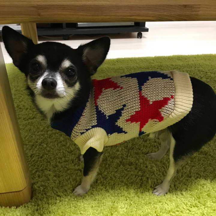 001b5320 8c85 4aec 9f83 bd115f54ddab 1511424956399