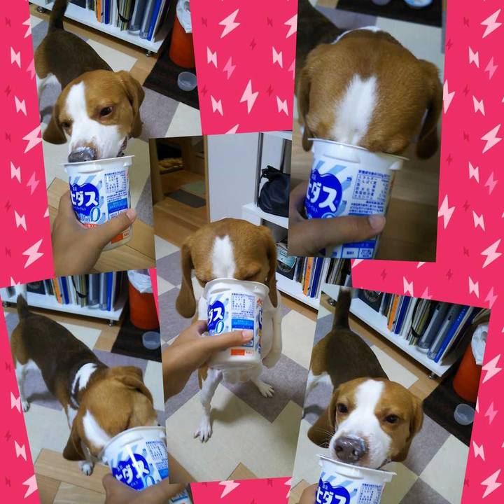 001b9568 2b5c 4a7a 9301 0b5a1a847ac1 1570197352394