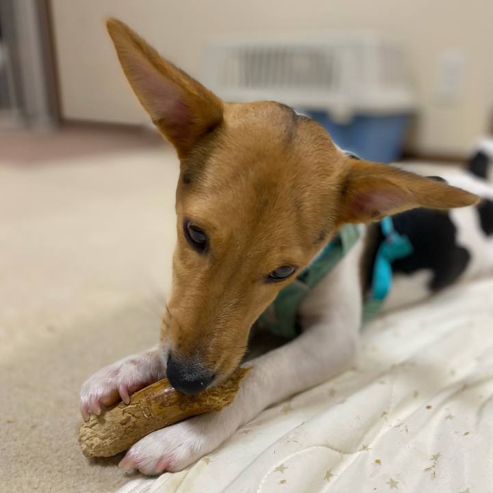 001bca76 1be5 43e8 9808 1e5432c1b2e7 1754915768877