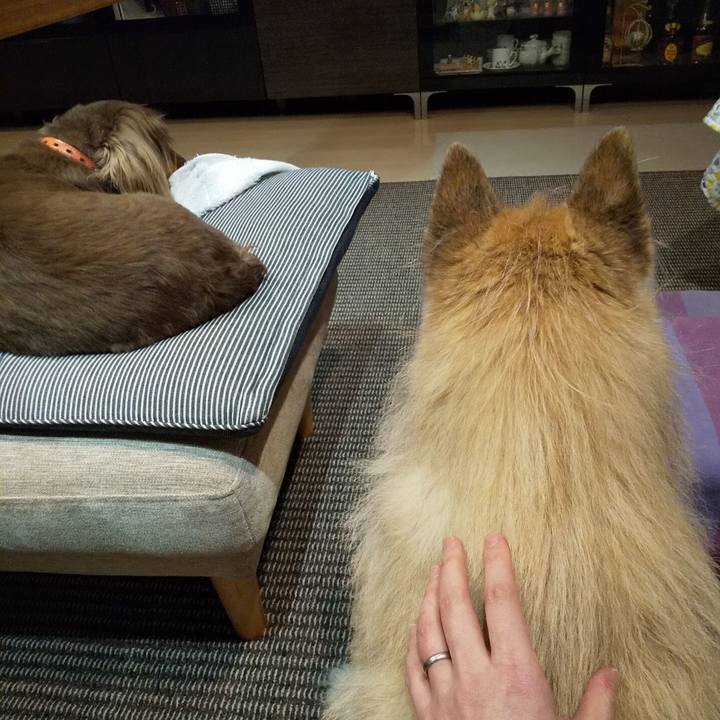 001bcb08 f232 4107 944d a99fef61a873 1554466420516