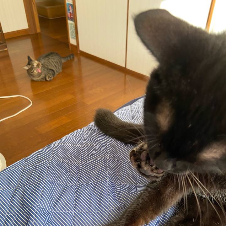 001bf16e 1582 4166 b504 e6ae89493c08 1632047756638