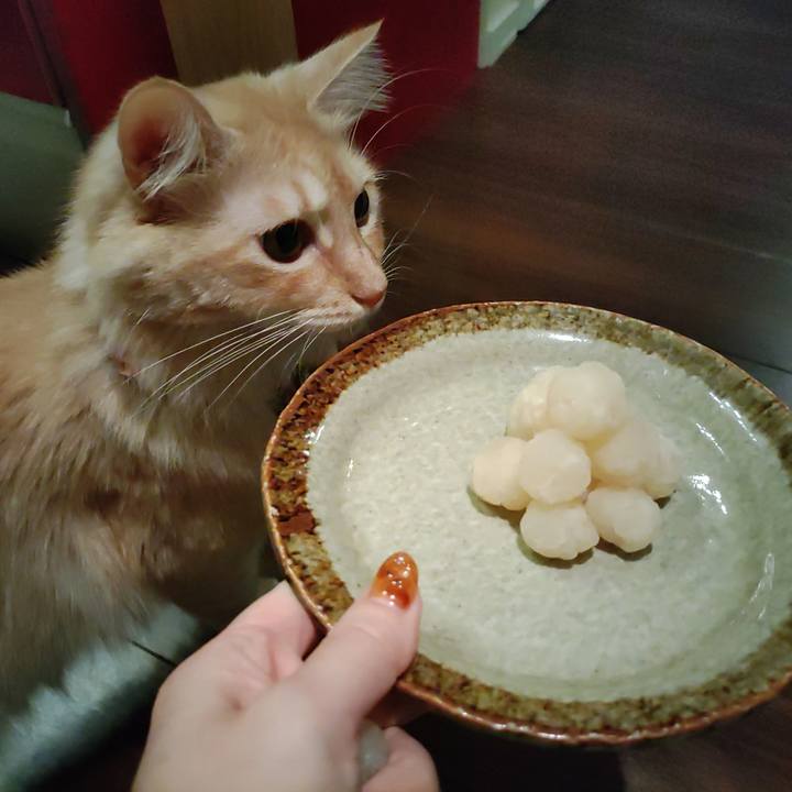 001c0554 925e 4220 8055 24ce7dacb325 1662802754890